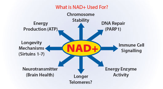 what is NAD used for