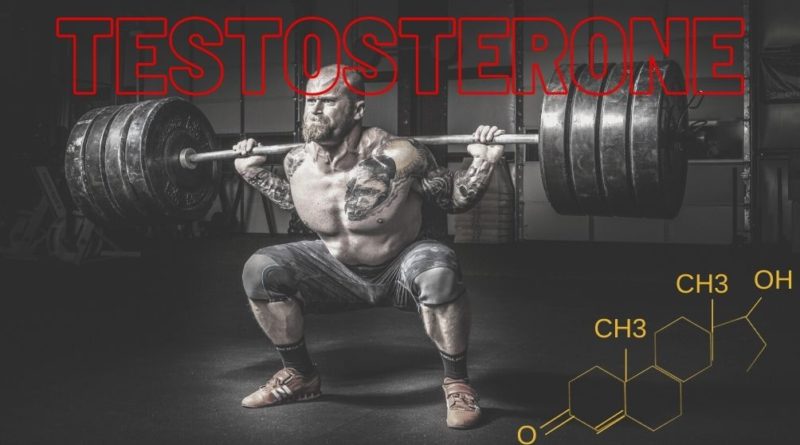 testosterone and muscle building