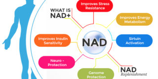 The ABC’s of NAD+